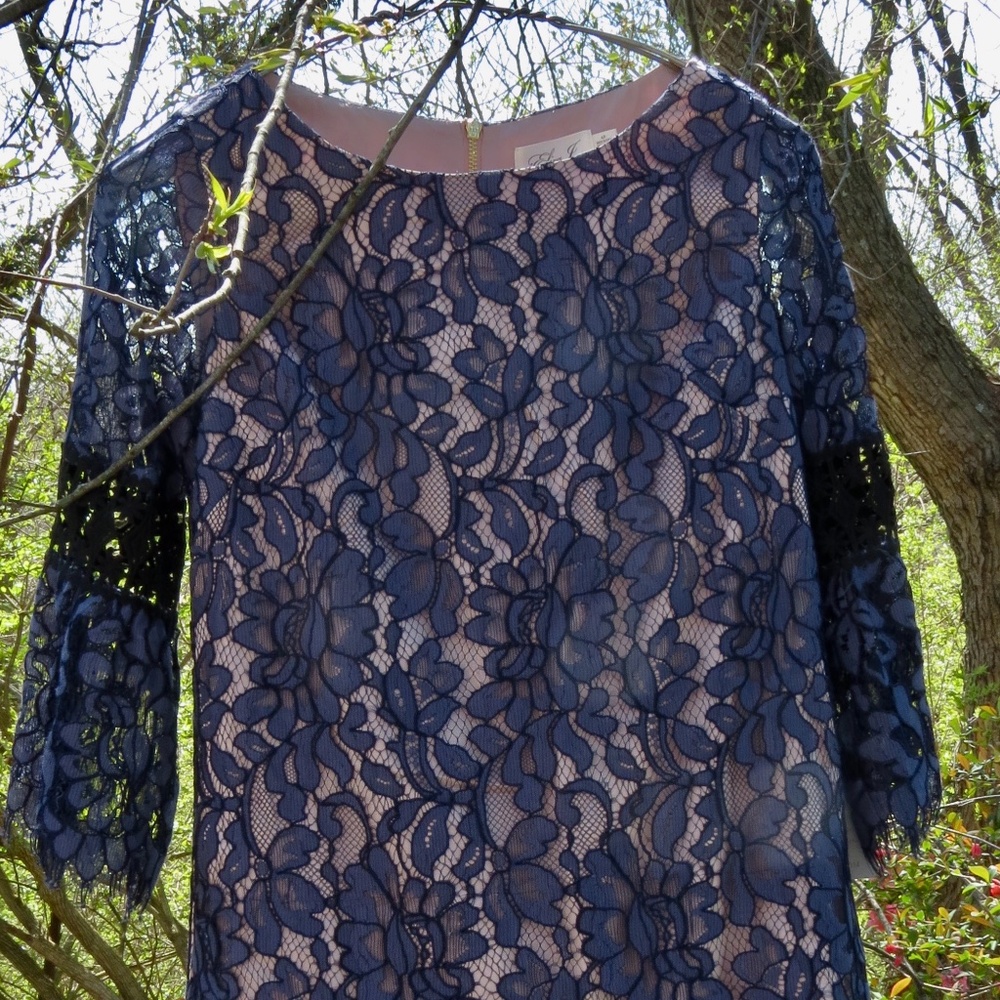 Eliza J  Navy Lace Dress 4P